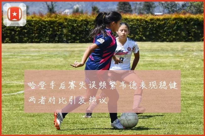 哈登季后赛失误频繁韦德表现稳健两者对比引发热议
